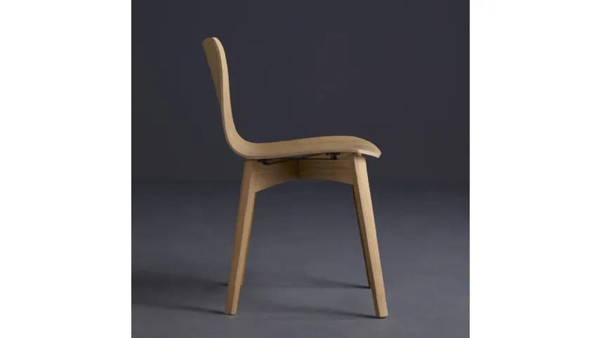 Sedia in legno di rovere naturale Dandy W di Colico