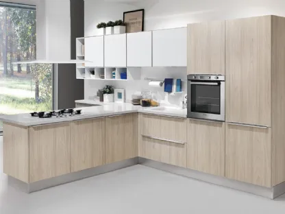 Cucina Moderna Gayla finitura Olmo Grigio e Laccato Bianco di Creo